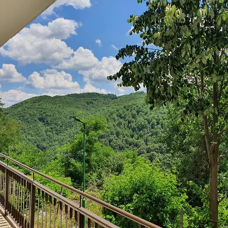 гърбище екотур - *