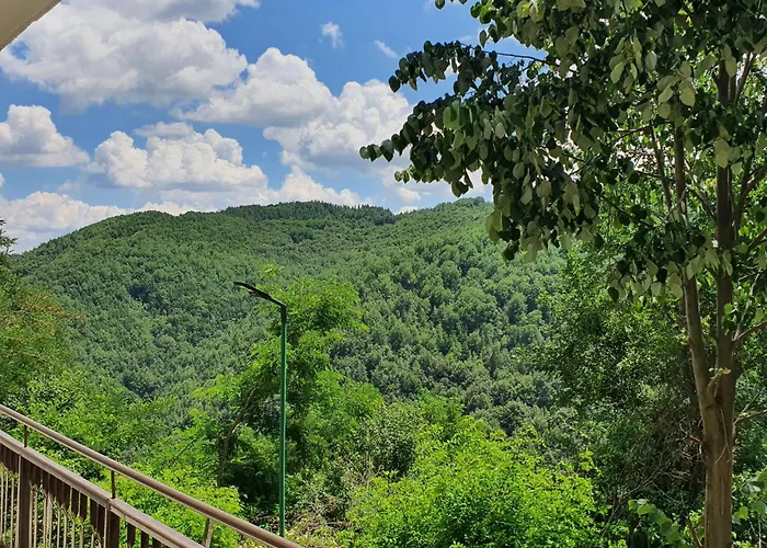 гърбище екотур - *